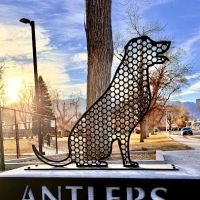 Antlers Dog Park ico