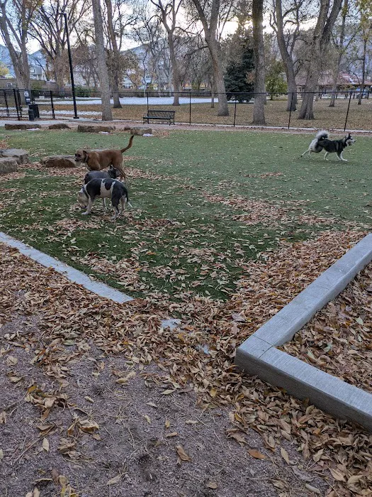 Antlers Dog Park 6
