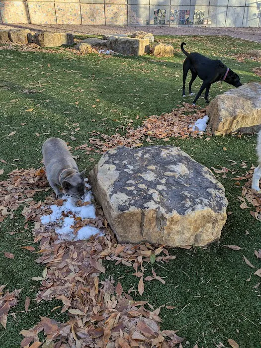 Antlers Dog Park 10