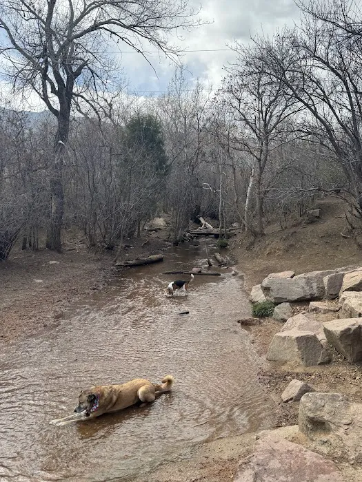 Bear Creek Dog Park 2