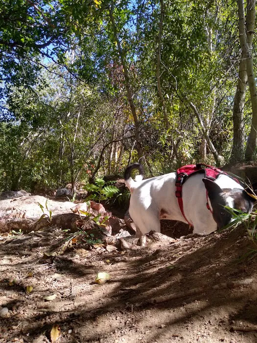 Bear Creek Dog Park 5