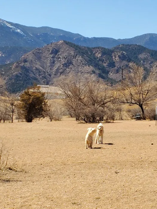Bear Creek Dog Park 8