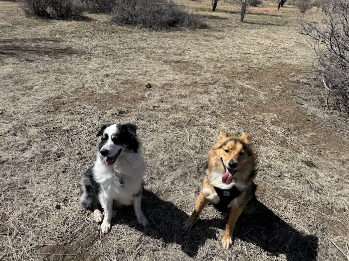 Bear Creek Dog Park 6