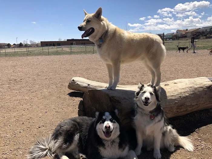 Cheyenne Meadows Dog Park 1