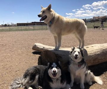 Cheyenne Meadows Dog Park