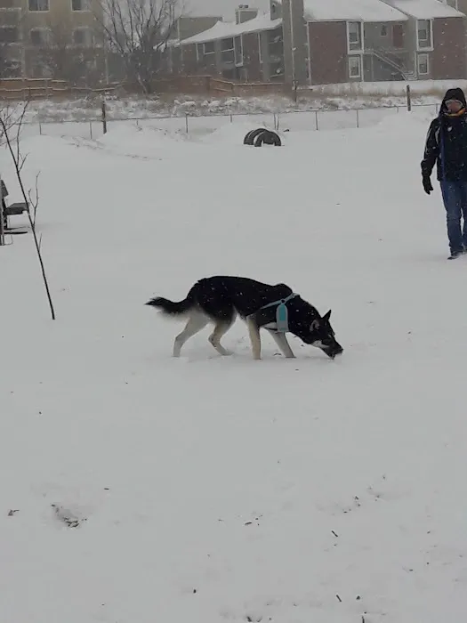 Cheyenne Meadows Dog Park 3