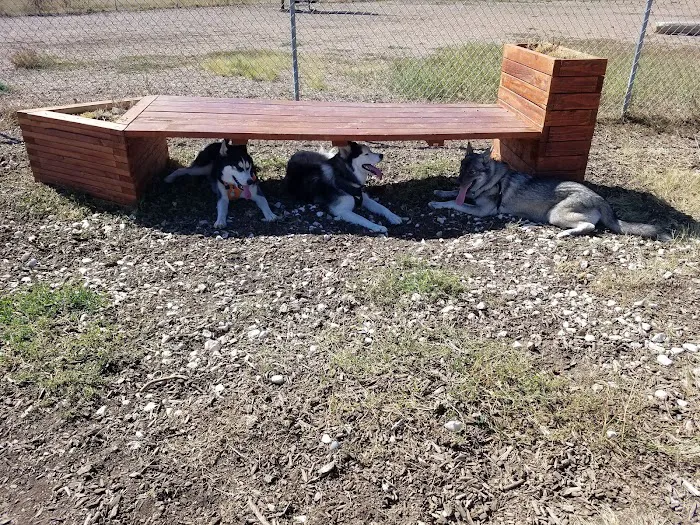 Cheyenne Meadows Dog Park 6