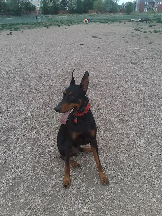 Cheyenne Meadows Dog Park 9