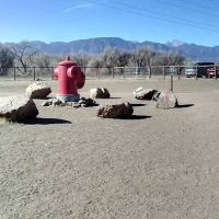 Fountain creek dog park ico