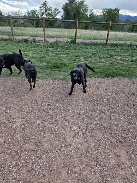 Fountain creek dog park 10