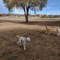 Metcalfe Hondo Memorial Doggie Park ico