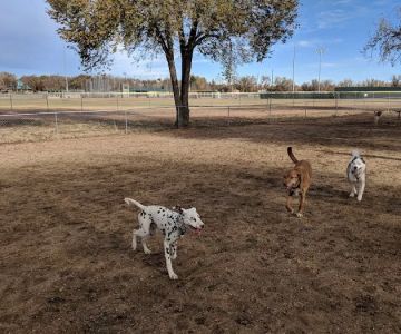 Metcalfe Hondo Memorial Doggie Park