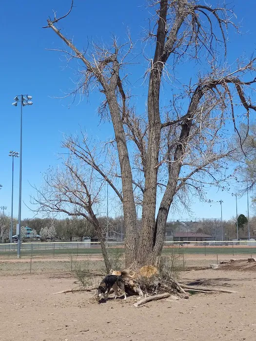 Metcalfe Hondo Memorial Doggie Park 6