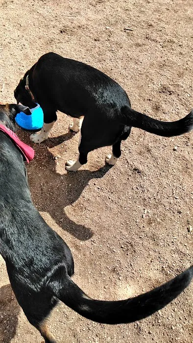 Metcalfe Hondo Memorial Doggie Park 5