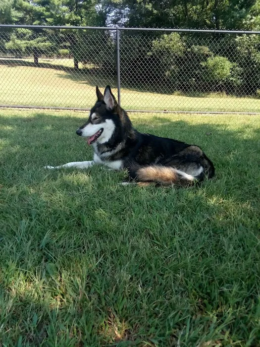 Metcalfe Hondo Memorial Doggie Park 7