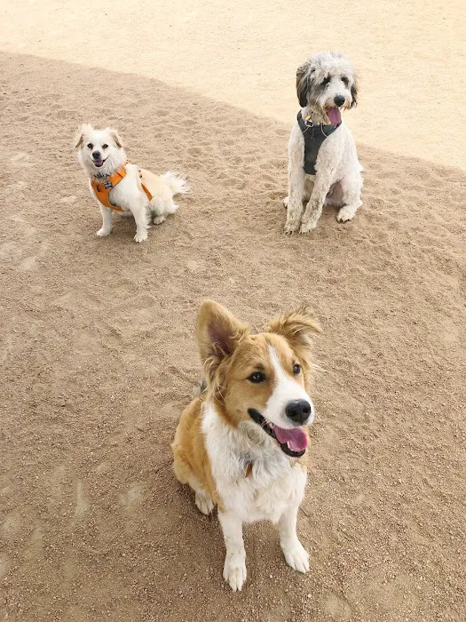 Willow Bark Park - Dog Park 7