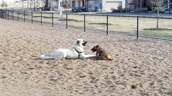 Willow Bark Park - Dog Park 10