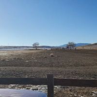 Willow Bark Park - Dog Park ico