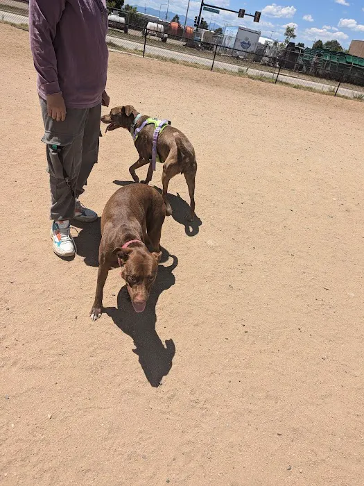 Willow Bark Park - Dog Park 6
