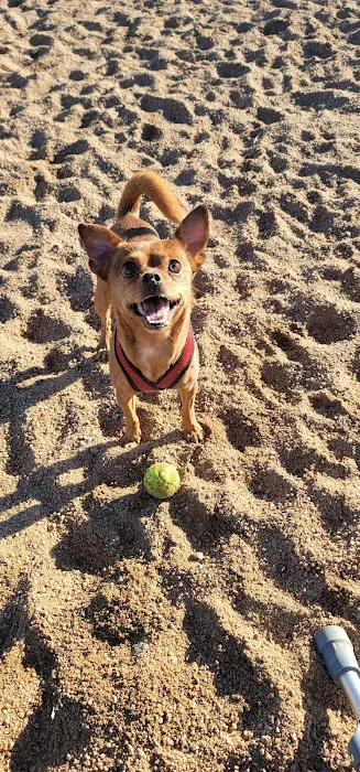 Willow Bark Park - Dog Park 3