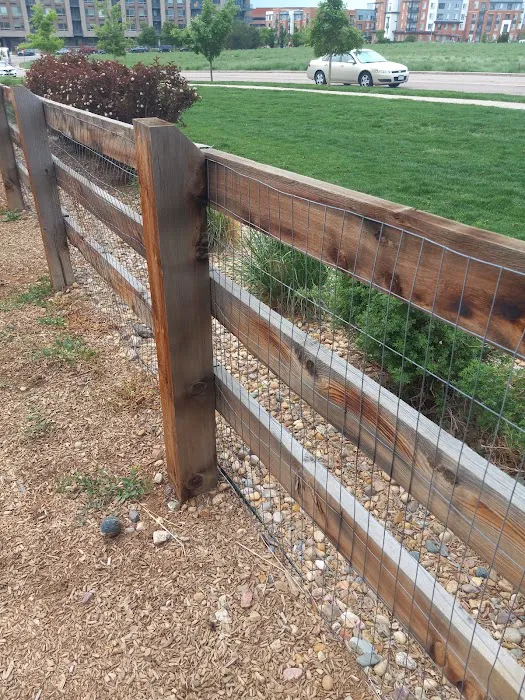 Belleview station dog park 6