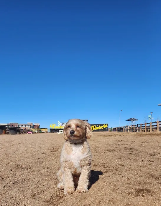 Belleview station dog park 1