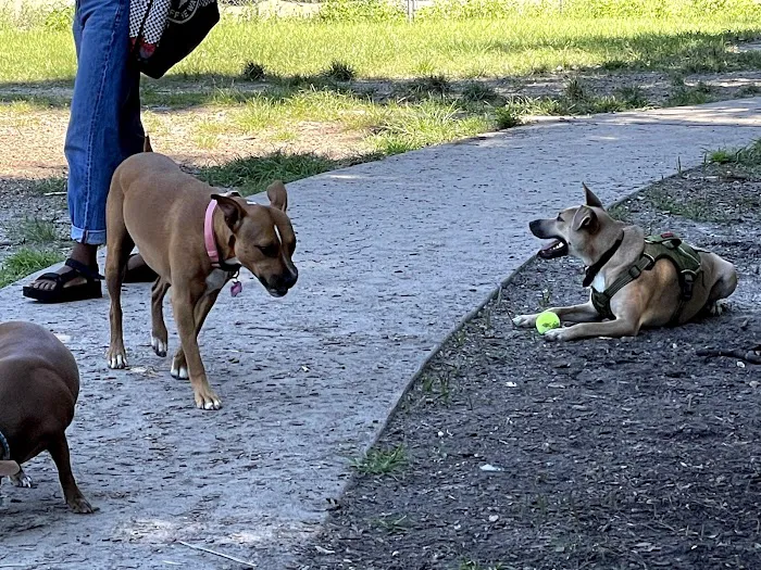John Gorrie Dog Park of Riverside Park 2