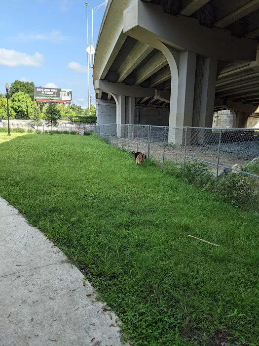 John Gorrie Dog Park of Riverside Park 4