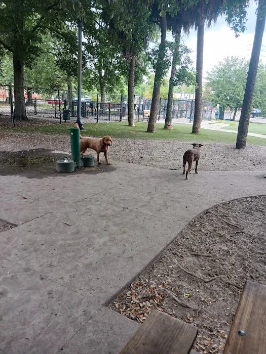 John Gorrie Dog Park of Riverside Park 8