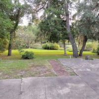 Creekside Canines ico