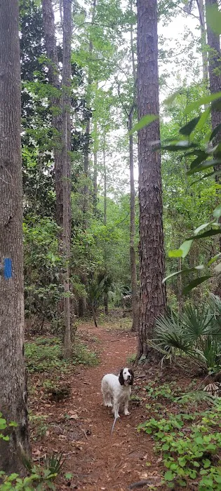 Dog Park 9