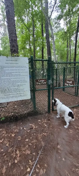 Dog Park 8