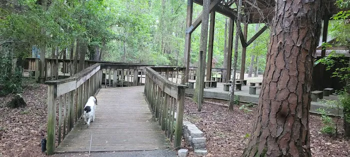 Dog Park 6
