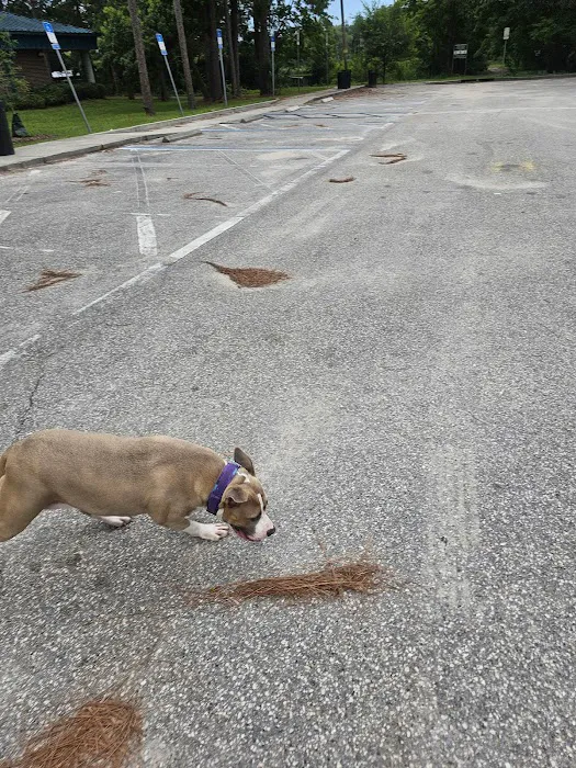 Good dog park 8