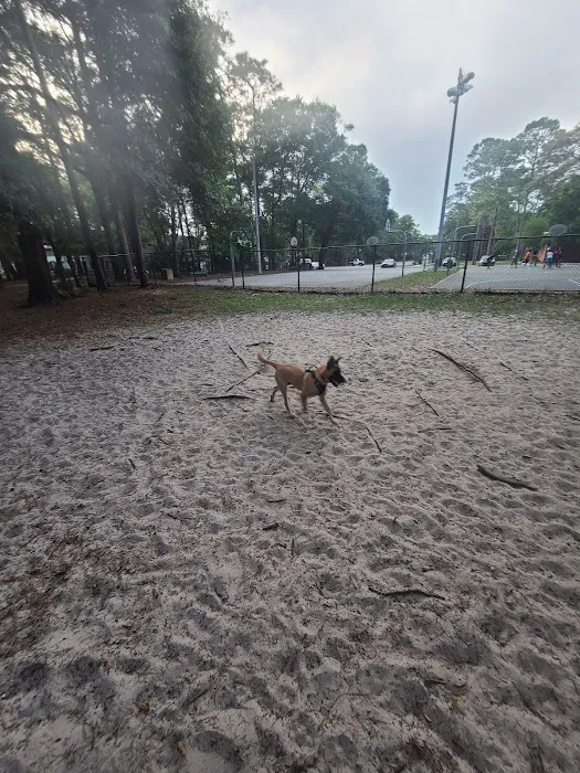 Good dog park 3