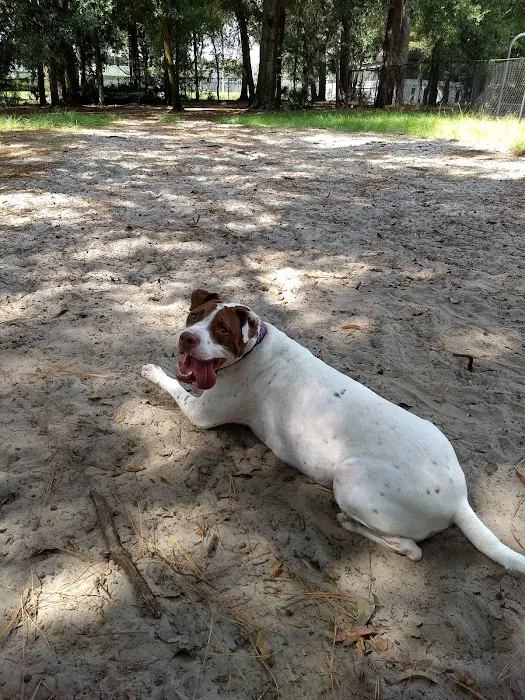 Good dog park 9
