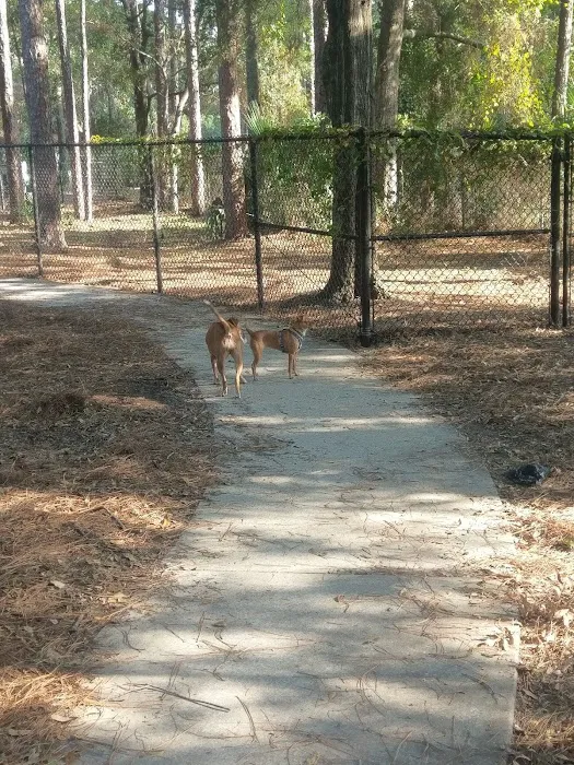Good dog park 5