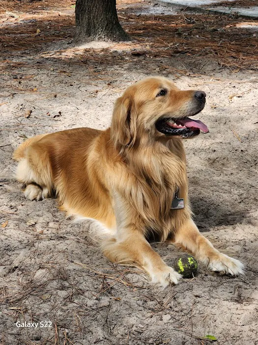 Good dog park 10