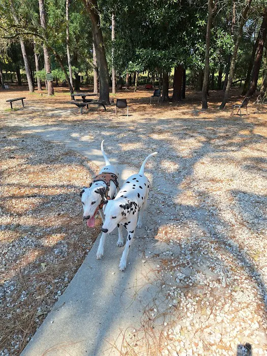 Ed Austin Regional Dog Park 2