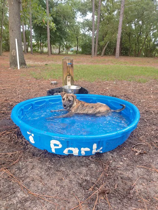 Ed Austin Regional Dog Park 1