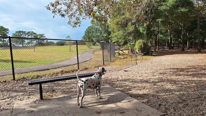 Ed Austin Regional Dog Park 9
