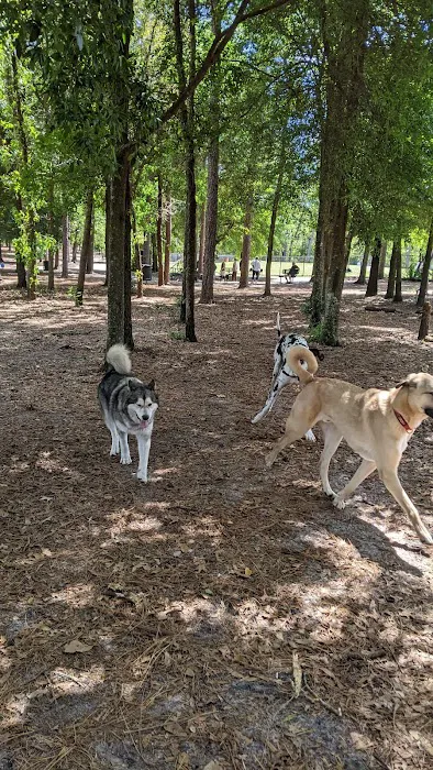 Ed Austin Regional Dog Park 10