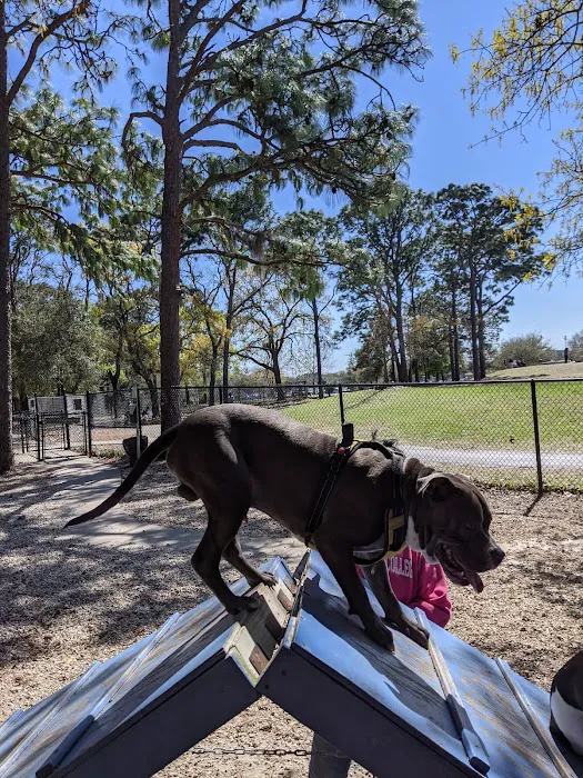 Ed Austin Regional Dog Park 7