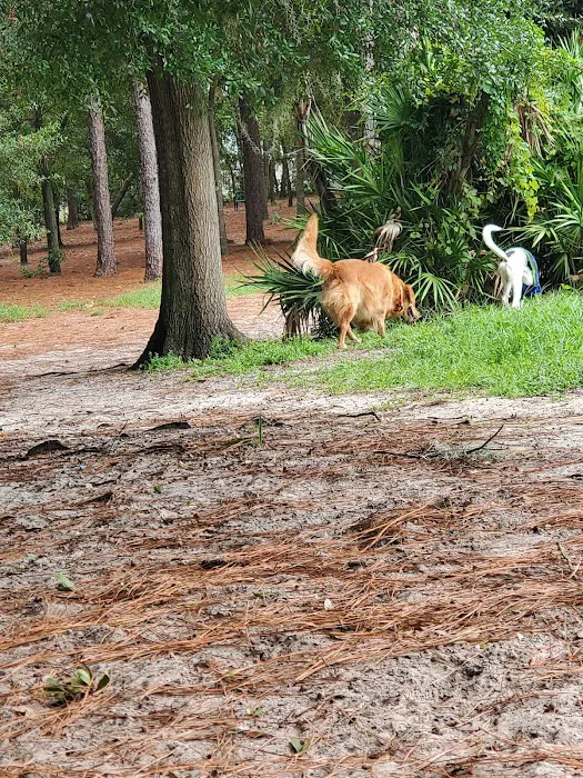 Ed Austin Regional Dog Park 6