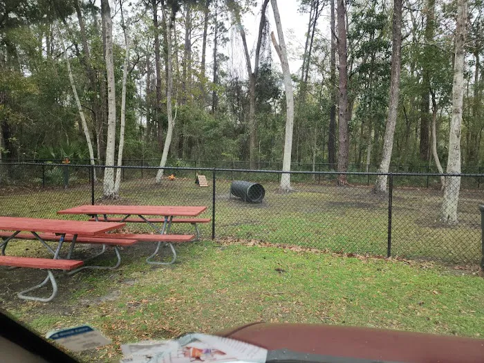 Orange Park Dog Park 4