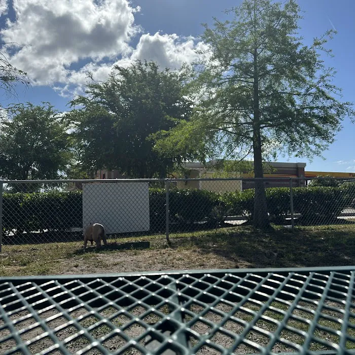 Dog Park at Love’s Travel Stops 1
