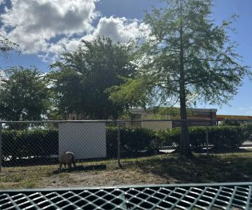 Dog Park at Love’s Travel Stops