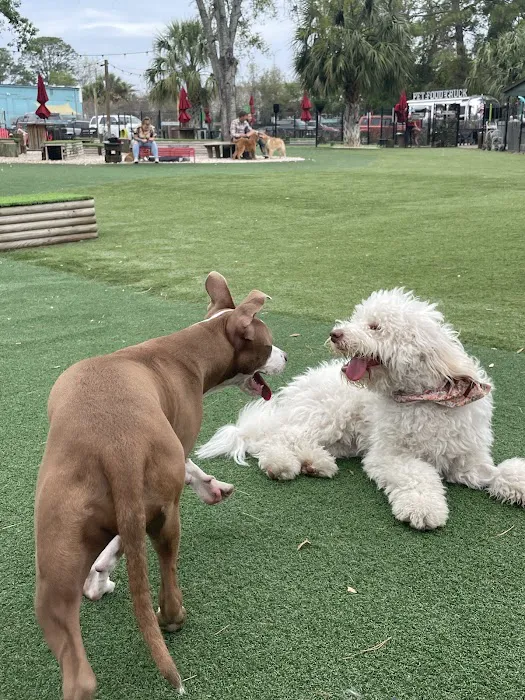 BrewHound Dog Park + Bar 8