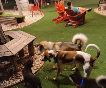 BrewHound Dog Park + Bar
