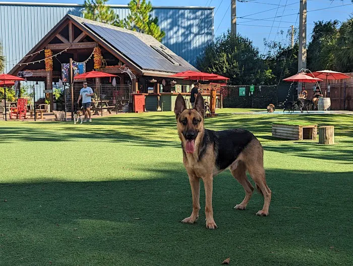 BrewHound Dog Park + Bar 10